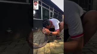 Snake loverforyou cr7 shorts shortvideo snake fyp [upl. by Jaret358]