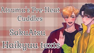 Atsumus PreHeat Cuddles  SakuAtsu  Omegaverse  Haikyuu Texts [upl. by Wylie]