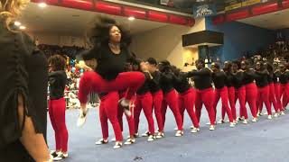 Thee Return of Delta Pi Chapter of Delta Sigma Theta [upl. by Hsan]