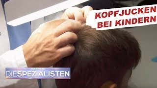 Permanentes Kopfjucken  Läusebefall  Auf Streife  Die Spezialisten  SAT1 TV [upl. by Yelsehc]