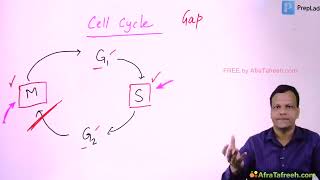 Anticancer Drugs  1 Cytotoxic Anticancerdrugs grg pharmacology [upl. by Yenaled]