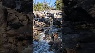 Video of Shoshone National Forest Crazy Creek Campground WY from cliff S [upl. by Ronal]