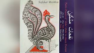 Solo Santoor by Sohrab Missaghian  Nafehat Moshkin [upl. by Randee]