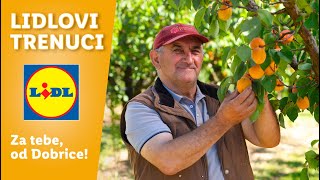 Za tebe od Dobrice│Lidlovi trenuci│Lidl Srbija [upl. by Brabazon705]