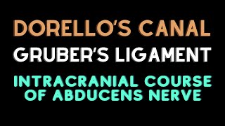 Intracranial course of abducent nerve Dorellos canal Grubers ligament [upl. by Morry]