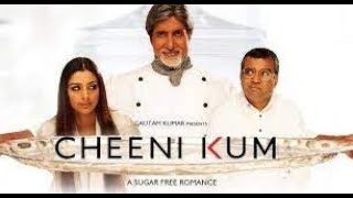 Cheeni Kum Full Movie facts and review  Tabu  Amitabh Bachchan [upl. by Eisen]