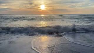 1Minute Meditation Caspersen Beach in Venice FL Best place to find sharkss teeth [upl. by Willing]