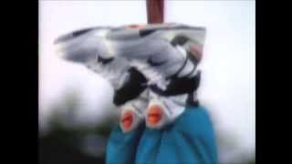 Reebok Pumps Commercial Collection Late 80s Early 90s [upl. by Lyle648]