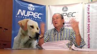 ¿Cuándo cambiar de NUPEC Cachorro a NUPEC Adulto [upl. by Cavan252]