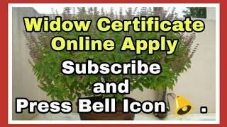 Online Apply for Widow Certificate [upl. by Faubion135]