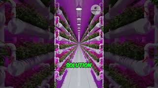 Vertical Farming Revolutionizing Agriculture for a Sustainable Future  InnoVision Tech [upl. by Keg947]