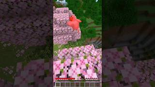 Gaboleh Ketemu Kangguru Di Minecraft Tapi Main Game Kangguruan shorts [upl. by Haidebez]