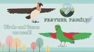 Feather Family  Birds amp Items we need [upl. by Jessee]