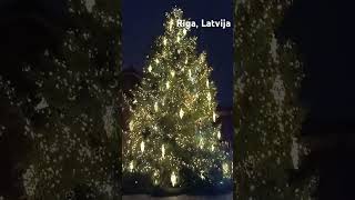 rigalatvia riga latvia рига ригалатвия Ёлка номер 1Рига Латвия [upl. by Romano989]