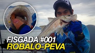 Fisgada 001  Robalopeva  FatSnook Fishing Stories [upl. by Ivette]