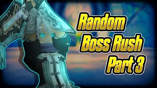 Toram Online  Random Boss Rush III Part 3 [upl. by Lucina823]