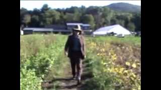 Mark Mulcahy  In Pursuit of your Happiness Official Video [upl. by Jezabelle]