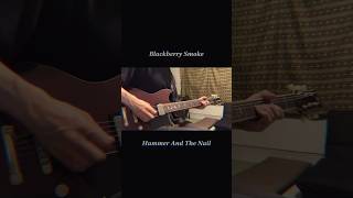 Hammer And The Nail  Blackberry Smoke Open G Tuning [upl. by Carmelita744]