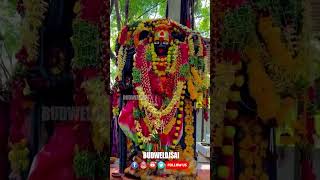 Falaknuma Kali Mata potharajuentry bonalu trendingdjsongs viral shorts falaknuma [upl. by Goulder]