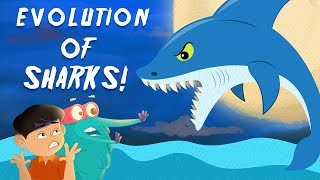 Evolution Of Sharks  The Dr Binocs Show  Best Learning Videos For Kids  Peekaboo Kidz [upl. by Arabeila]