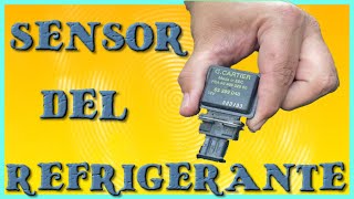 ⭐Como CAMBIAR SENSOR NIVEL REFRIGERANTE Citroen xsara Picasso [upl. by Cartan]