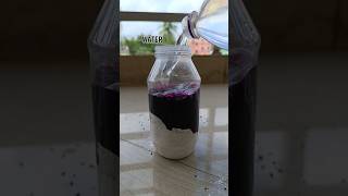 Powdered Sugar  KMnO4  Water  SHOCKING RESULTS shorts [upl. by Mailliw966]