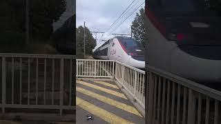 TGV en gare de Mireval [upl. by Infield]