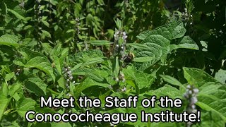 Meet the Staff of the Conococheague Institute [upl. by Maryann]