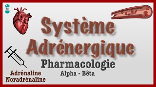 Système Adrénergique  Pharmacologie catécholamines agonistes antagonistes [upl. by Gabey]