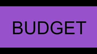 Budget Committee  November 19 2024 [upl. by Castora371]