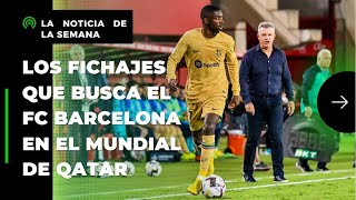 Los FICHAJES que busca el FC Barcelona en el Mundial de Qatar 2  ElGolDigital [upl. by Bannerman60]