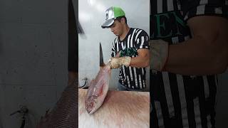 Filleting Red Snapper at home fishcuting [upl. by Darra]