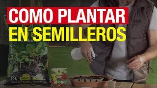 Cómo plantar en semilleros  COMPO Jardinería [upl. by Anees]