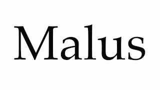 How to Pronounce Malus [upl. by Einnel]