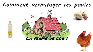 La ferme de loris Comment vermifuger ces poules [upl. by Akoyin]