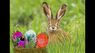 Frohe Ostern wünschen die Argoatjäger [upl. by Nodnab]