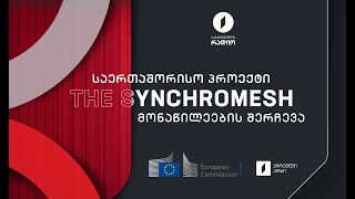 საერთაშორისო პროექტისთვის The Synchromesh მონაწილეების შერჩევა იწყება [upl. by Ainesell291]