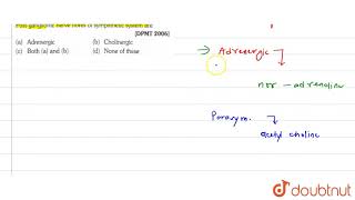 Postganglionic nerve fibres of sysmpathetic system are [upl. by Nilauqcaj]