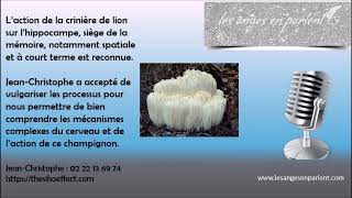 Soutien immunitaire  Mémoire  Pensez à la quotcrinière de lionquot super champignon [upl. by Anaerb]