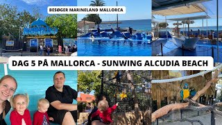 Vlog  Dag 5 på Mallorca  Sunving Alcudia Beach  Besøger Marineland Mallorca [upl. by Katee120]