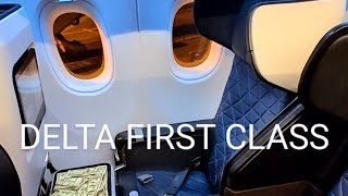 300 Delta Airlines First Class Experience Seattle  LA [upl. by Neahs952]