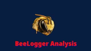 Malware Analysis  Analyzing The BeeLogger KeyLogger [upl. by Thomasina]