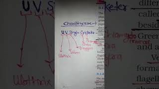 Chlorophyceaemineralnutritionshorttrickneetintermediatestudent [upl. by Askwith]