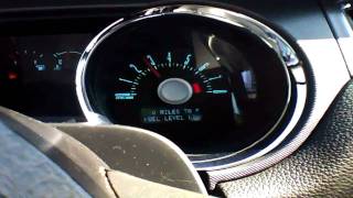 2011 Ford Mustang GT 50L V8 Start Up amp Rev With Exhaust View [upl. by Hasheem606]