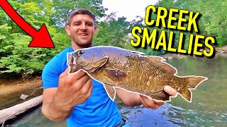 Fishing a Tiny West Virginia Creek for Smallmouth Bass [upl. by Sadick]