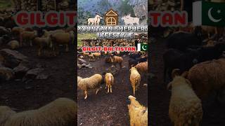 Mountain shepherds lifestyle  Shepherds House  mountains shepherd azan [upl. by Camroc]