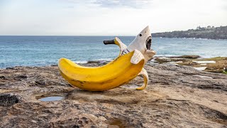 Sculpture by the Sea  2024  Bondi Sydney Australia  full tour in 4K [upl. by Koball]