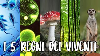 🦠🍄🌱🐹 I 5 REGNI DEI VIVENTI Monere Protisti Funghi Piante e Animali  Studiare SCIENZE 👩🏻‍🔬🔬 [upl. by Eneleh298]