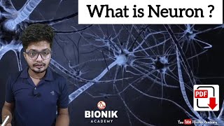 What are Neurons  by Nikhil Sir  BioNik Academy [upl. by Housen]