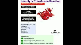 💠 Hemolytic transfusion reaction 💠 [upl. by Ambrogio]